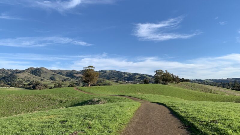Montgomery Hill Park - San Jose, CA