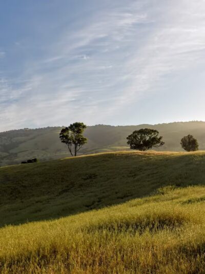 Montgomery Hill Park - San Jose, CA