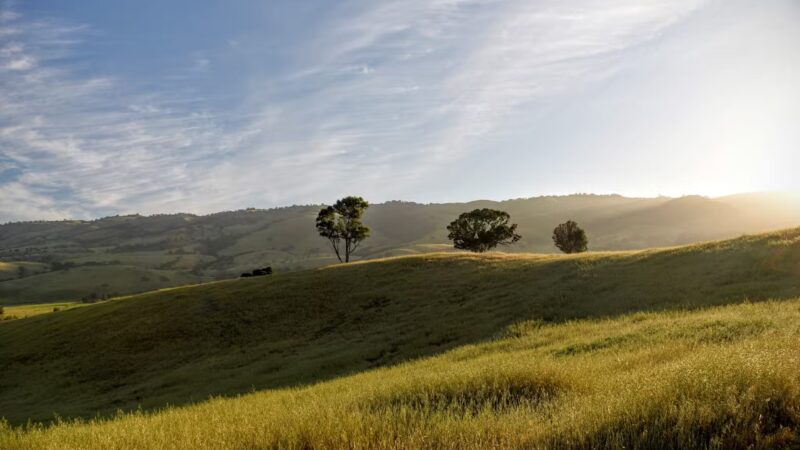 Montgomery Hill Park - San Jose, CA