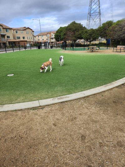 Raleigh Linear Park - San Jose, CA