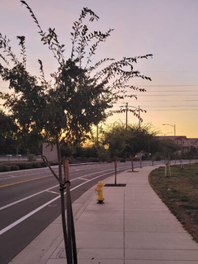 Raleigh Linear Park - San Jose, CA