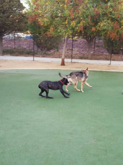 Raleigh Linear Park - San Jose, CA