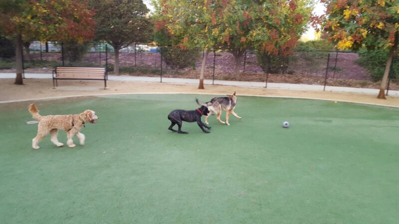 Raleigh Linear Park - San Jose, CA