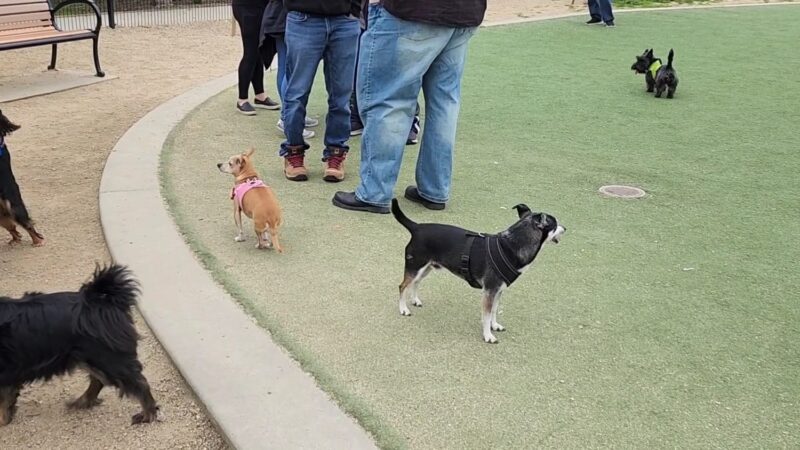 Raleigh Linear Park - San Jose, CA