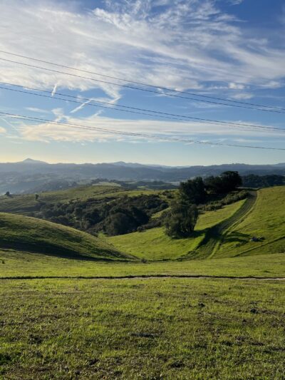 Santa Teresa County Park - San Jose, CA