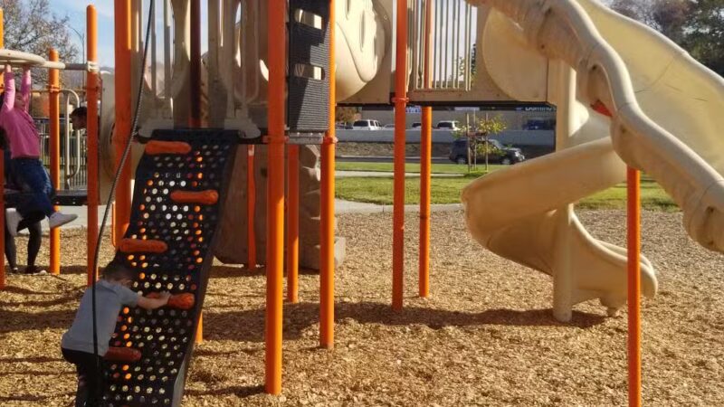 Welch Dog Park - San Jose, CA
