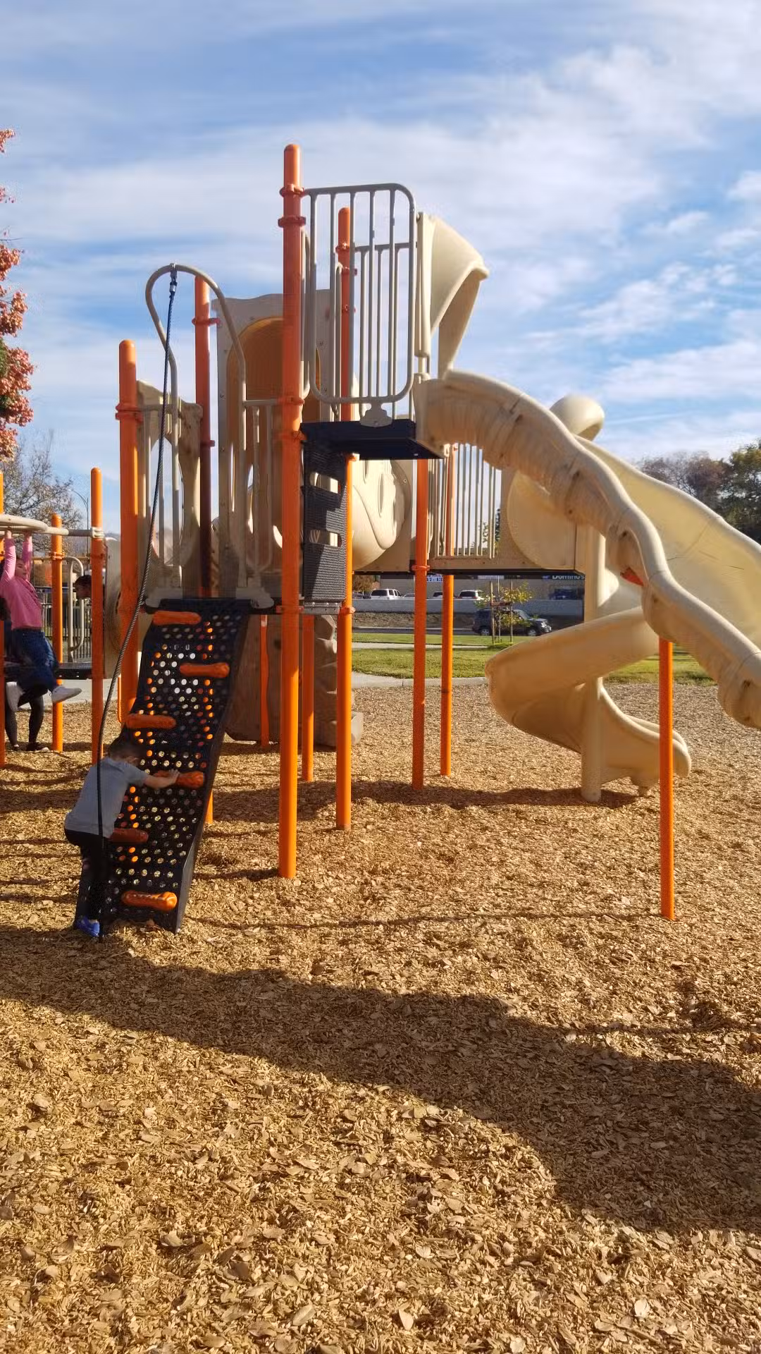 Welch Dog Park - San Jose, CA