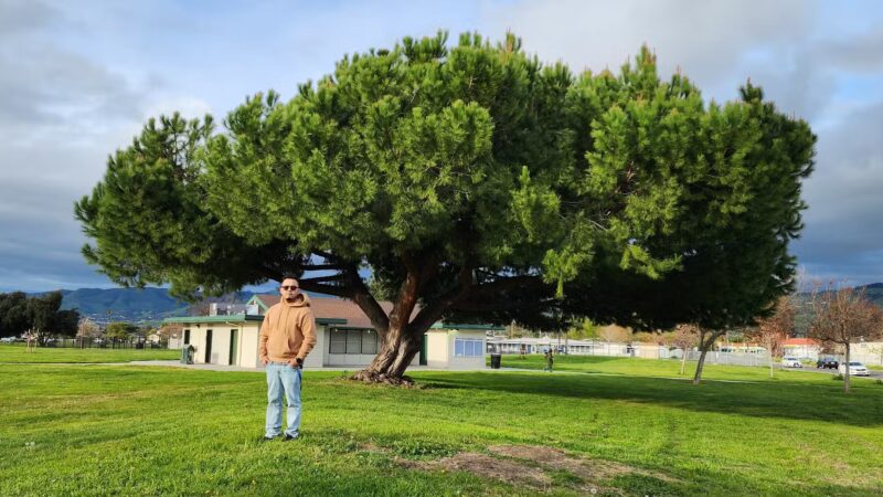 Welch Dog Park - San Jose, CA