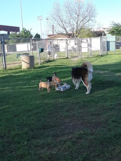 Dog Park - San Marcos, TX