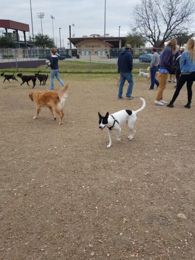Dog Park - San Marcos, TX