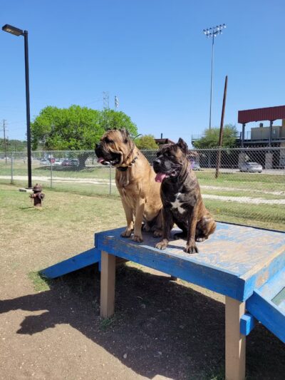 Dog Park - San Marcos, TX