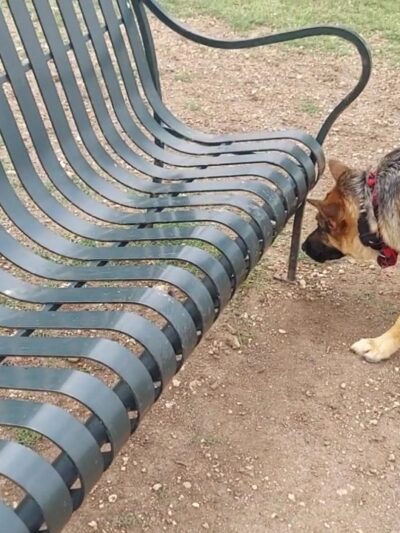 Dog Park - San Marcos, TX