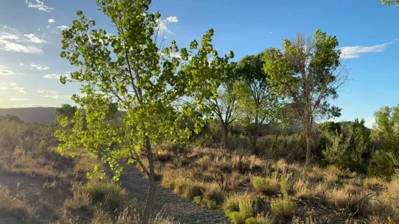 Perea Nature Trail - San Ysidro, NM