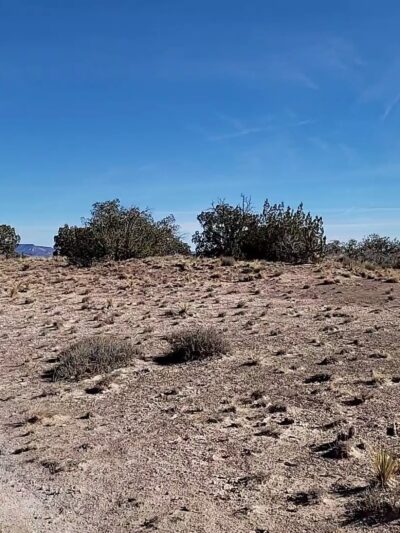 White Ridge Bike Trails - San Ysidro, NM
