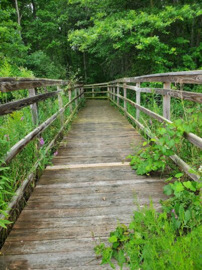 Cambria Town Park - Sanborn, NY