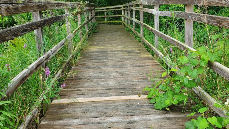 Cambria Town Park - Sanborn, NY