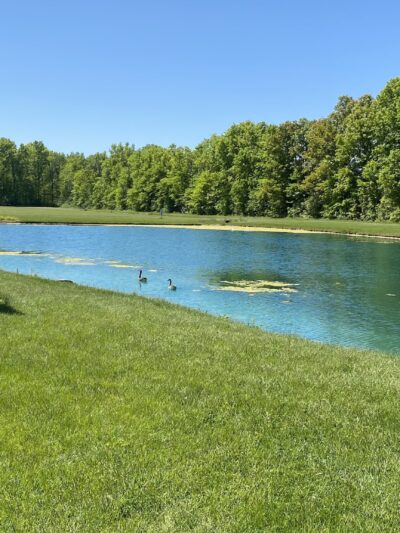 Cambria Town Park - Sanborn, NY
