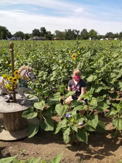 Sunflowers of Sanborn - Sanborn, NY
