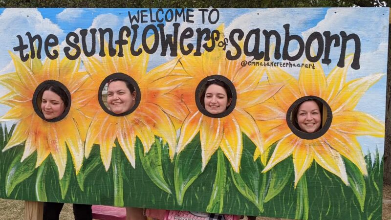 Sunflowers of Sanborn - Sanborn, NY