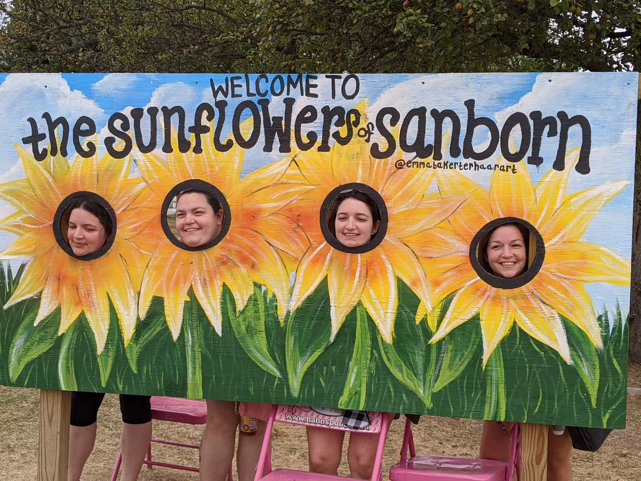 Sunflowers of Sanborn - Sanborn, NY