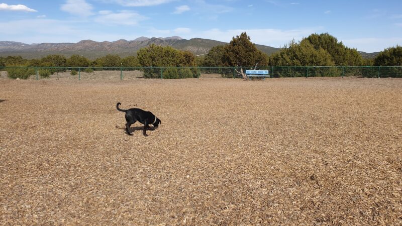 Dog Park - Sandia Park, NM