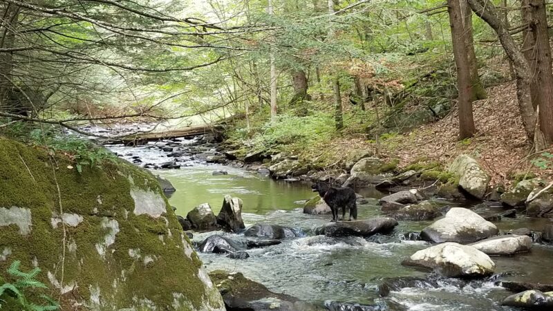 Clam River Reserve - Sandisfield, MA