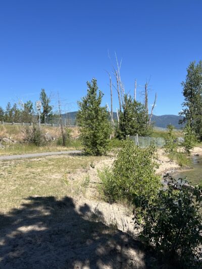 Dog beach winter walk - Sandpoint, ID