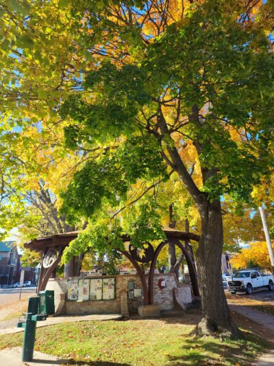 Farmin Park - Sandpoint, ID