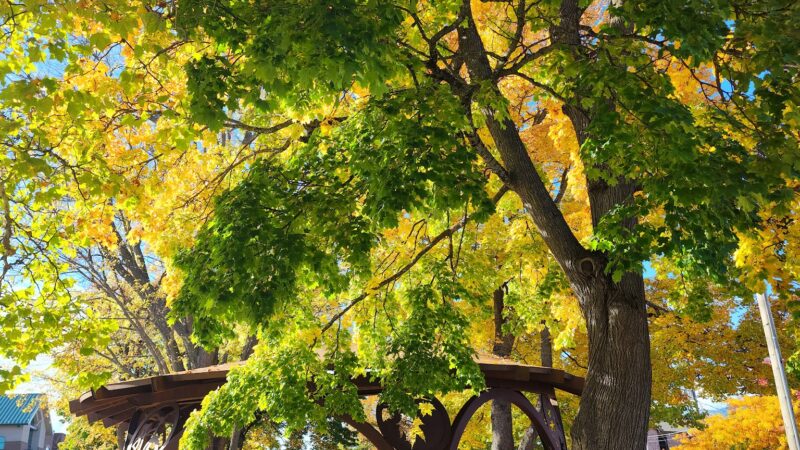 Farmin Park - Sandpoint, ID