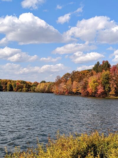 Goddard State Park Secret Local Boat Launch and Trail Access - Sandy Lake, PA