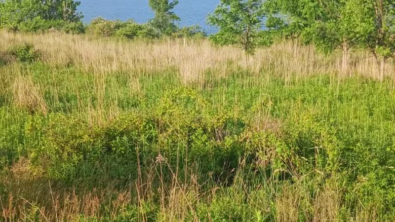 Goddard State Park Secret Local Boat Launch and Trail Access - Sandy Lake, PA