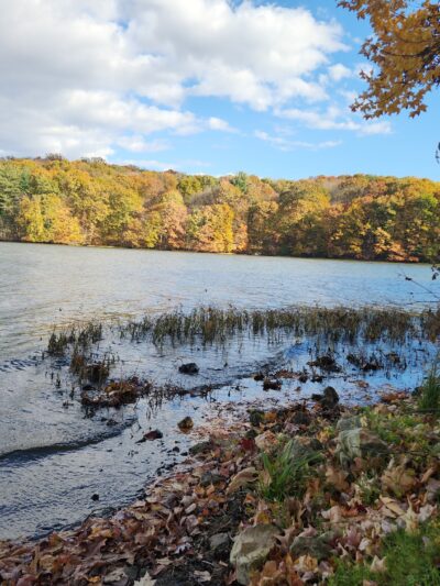 Maurice K Goddard State Park - Sandy Lake, PA