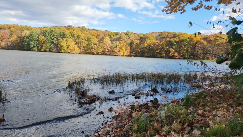 Maurice K Goddard State Park - Sandy Lake, PA