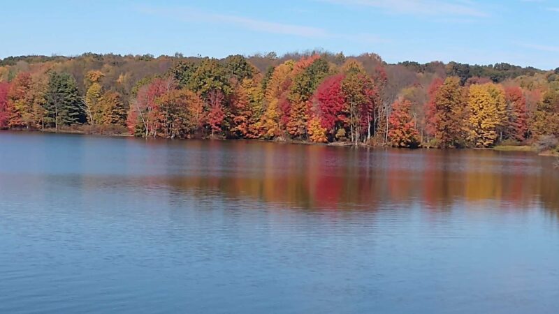 Maurice K Goddard State Park - Sandy Lake, PA
