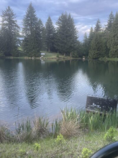 Cedar Ponds Dog Park - Sandy, OR