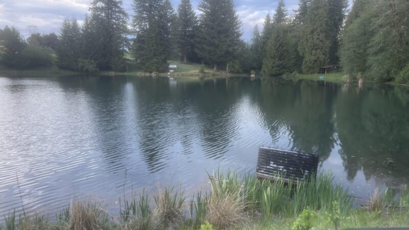 Cedar Ponds Dog Park - Sandy, OR