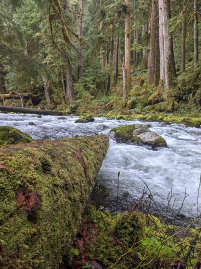 Eagle Creek Trailhead (Clackamas County) - Sandy, OR