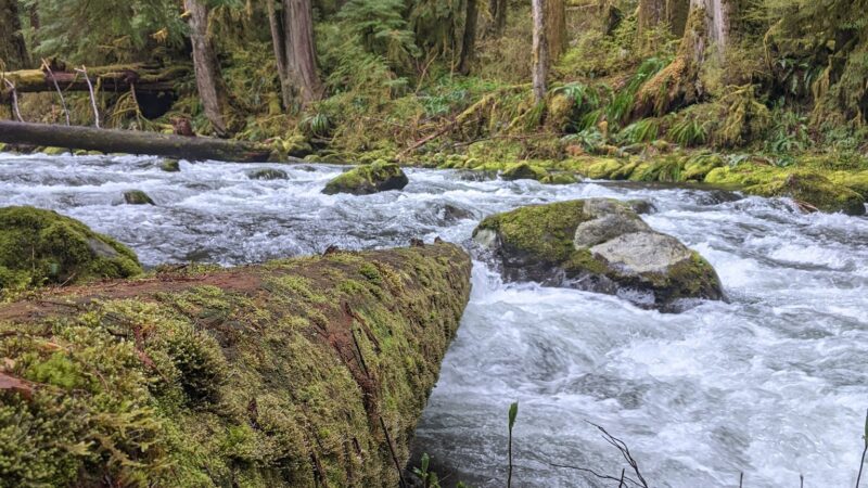 Eagle Creek Trailhead (Clackamas County) - Sandy, OR