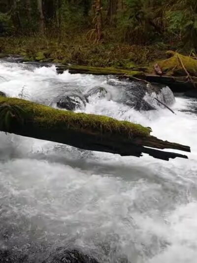 Eagle Creek Trailhead (Clackamas County) - Sandy, OR