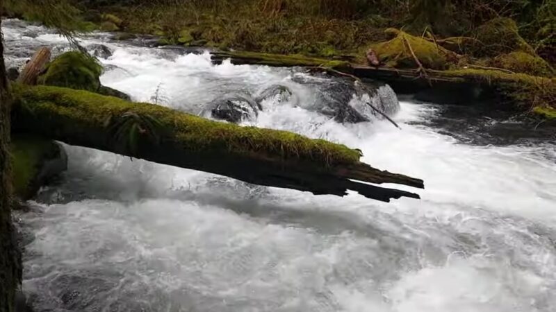 Eagle Creek Trailhead (Clackamas County) - Sandy, OR