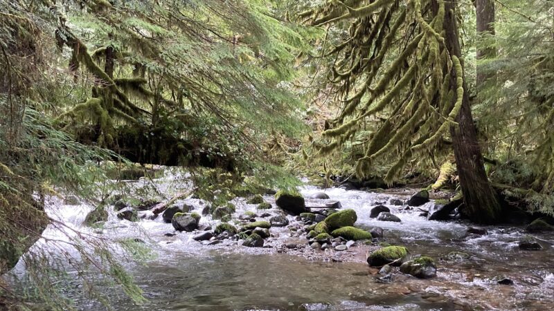 Eagle Creek Trailhead (Clackamas County) - Sandy, OR