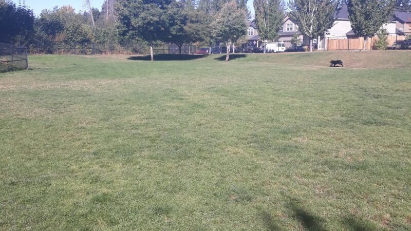 Sandy Bluff Park and Dog Park - Sandy, OR