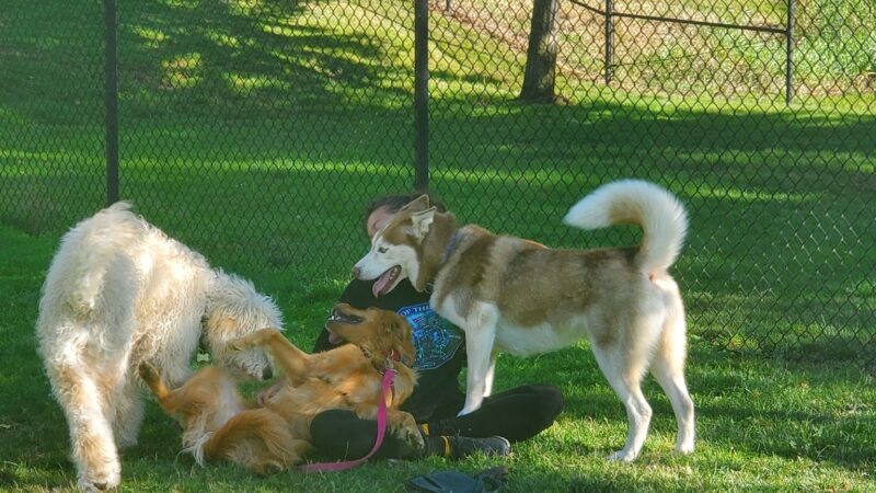 Sandy Bluff Park and Dog Park - Sandy, OR