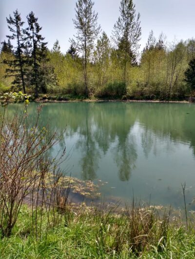 Sandy Bluff Park and Dog Park - Sandy, OR