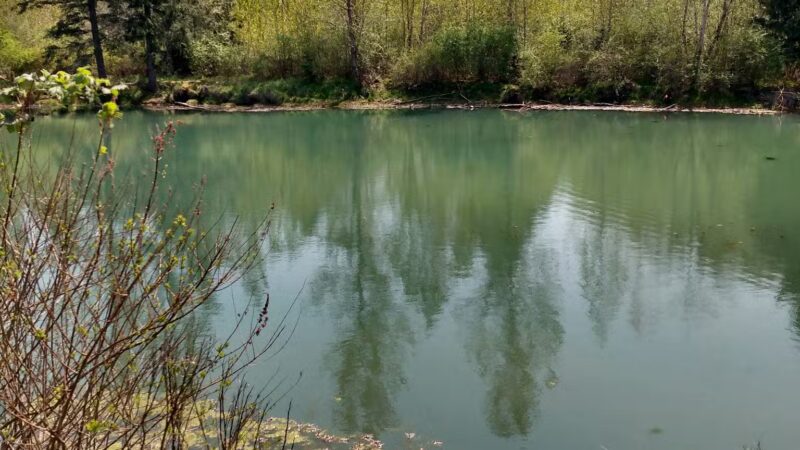 Sandy Bluff Park and Dog Park - Sandy, OR