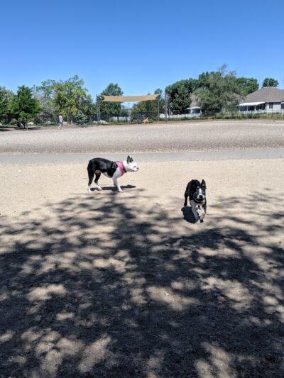 Sandy City Dog Park - Sandy, UT