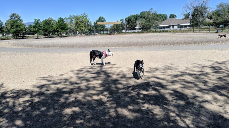 Sandy City Dog Park - Sandy, UT