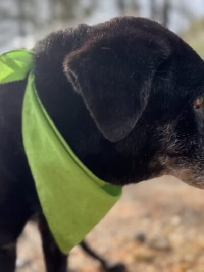 Barker Retreat - Sandyston, NJ