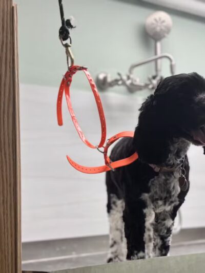 Barker Retreat - Sandyston, NJ