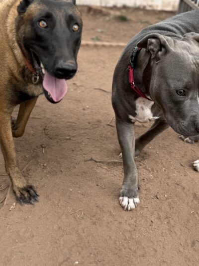 Barker Retreat - Sandyston, NJ